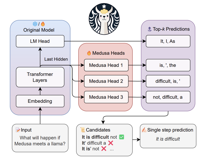 ArXiv Dives - Medusa